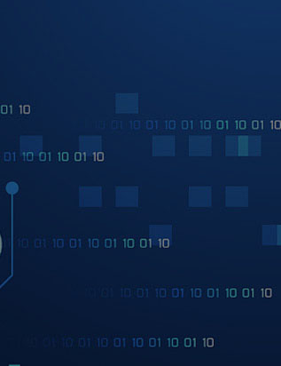 RICH & DIVERSE
丰富且多样
——