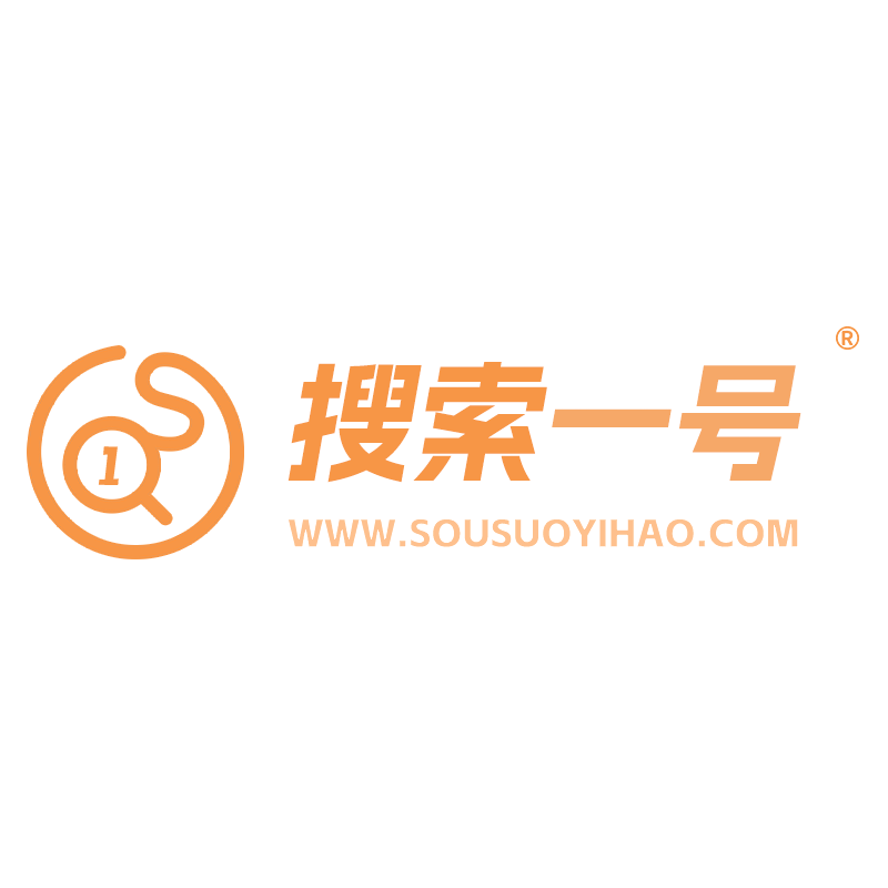 专注于外贸独立站建设与推广｜搜索一号